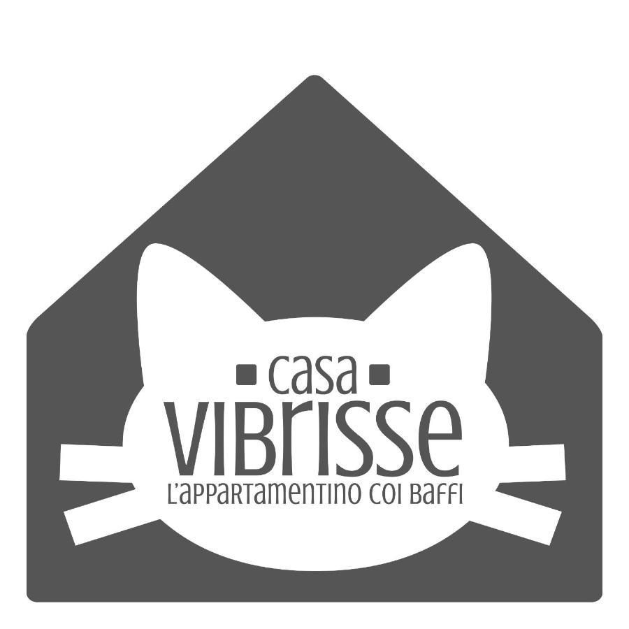 Casa Vibrisse Apartment Turin Exterior photo